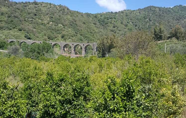 Panorama: natura e architettura antica