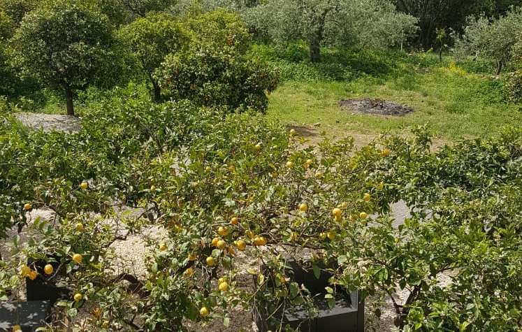 Un salotto immerso nella natura